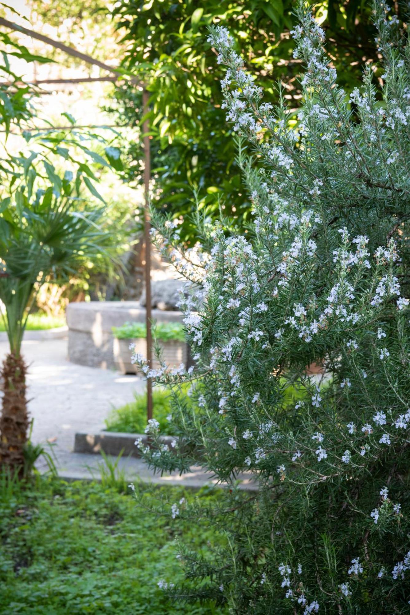 Residenza Leone XIII Hotel Rome Exterior photo
